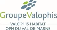 Valophis logo2